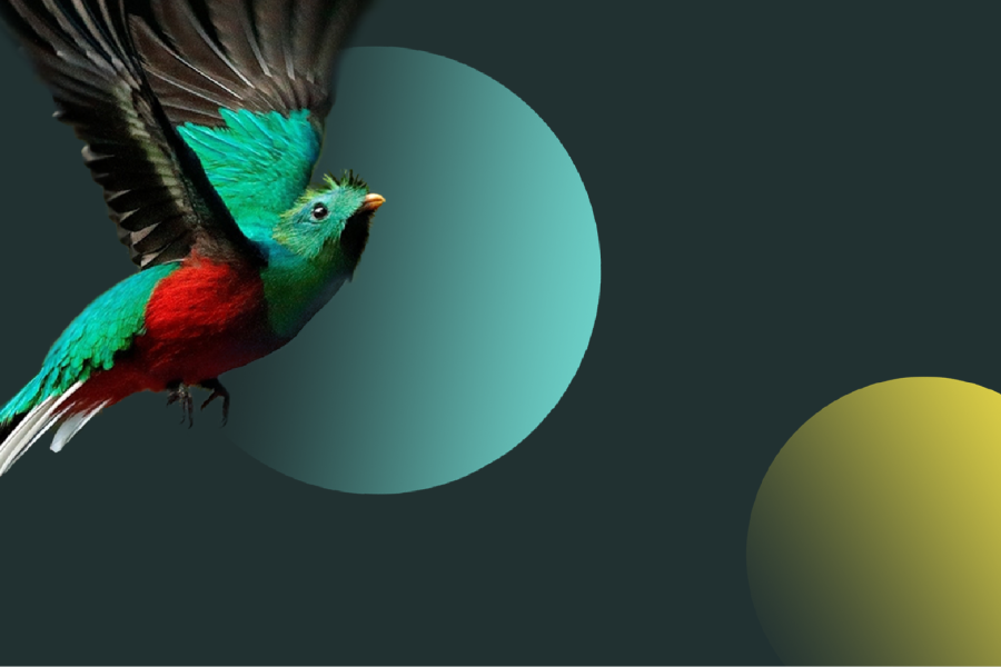 Digital Marketing Strategy