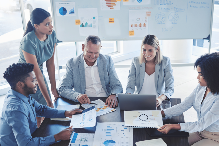 Diversity Consulting