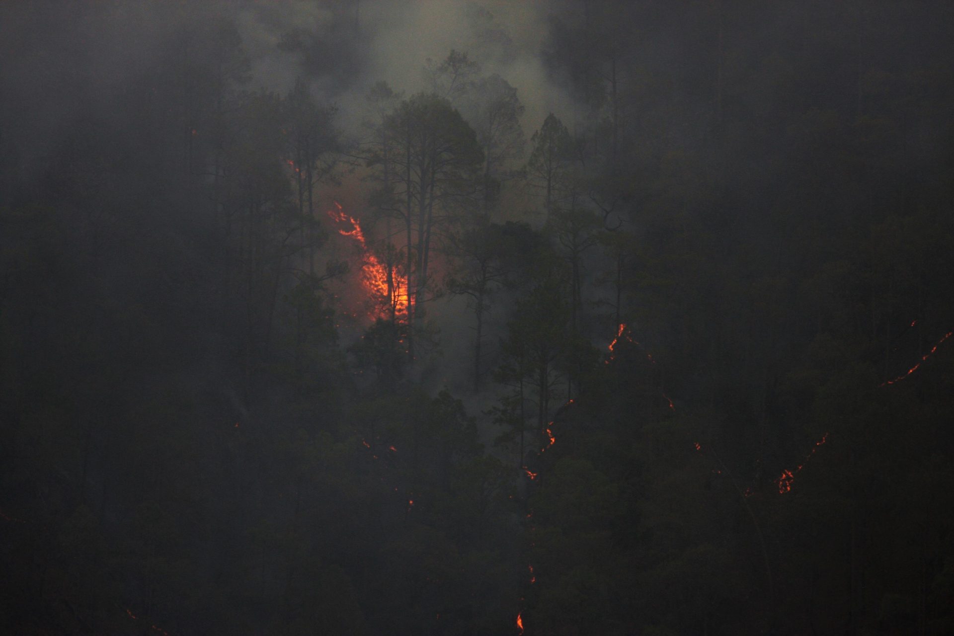 When the Fire Comes, the Policy Vanishes: What Los Angeles Wildfires Are Teaching Us About Insurance’s Broken Promises